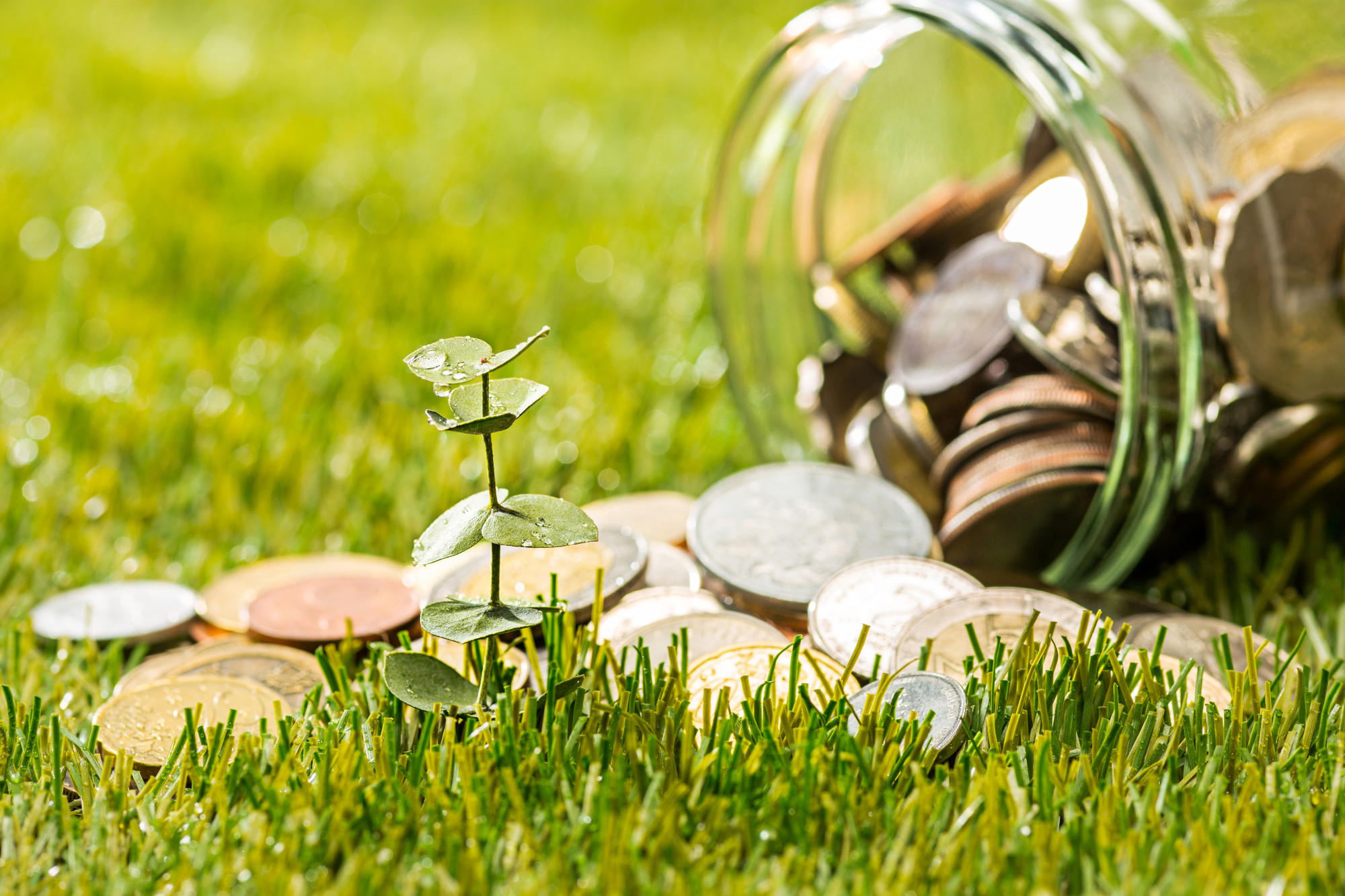 Green Banking: How Banks are Supporting Sustainable Practices